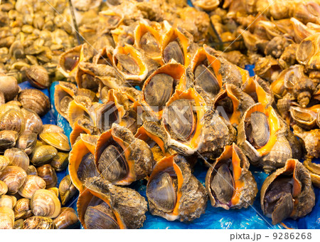 Seafood in food market 9286268