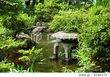 Japanese garden 9286574