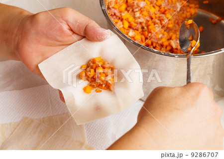Wrapping of Chinese dumpling Wrapping of Chinese dumpling 9286707
