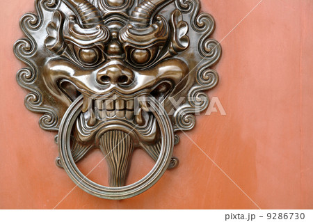 lion door lock lion door lock 9286730