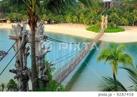 landscape in sentosa, Singapore 9287458