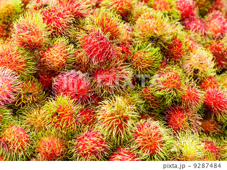 Rambutan fruit Rambutan fruit 9287484