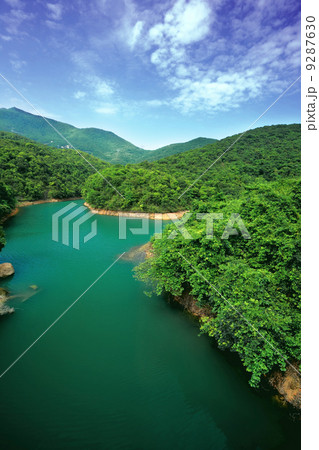 lake in forest 9287630