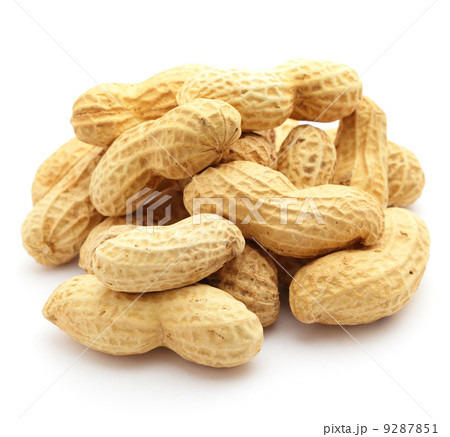 peanut 9287851