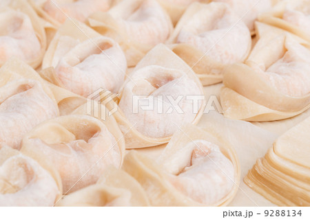 Homemade dumpling 9288134