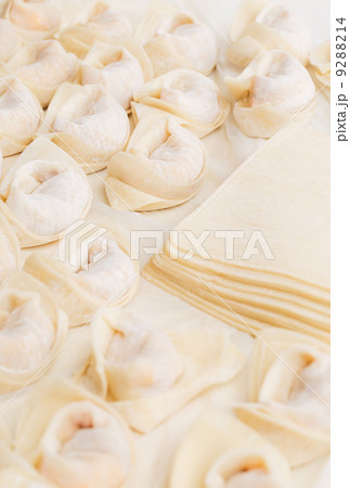 Homemade dumpling Homemade dumpling 9288214