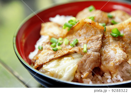 pork with rice pork with rice 9288322