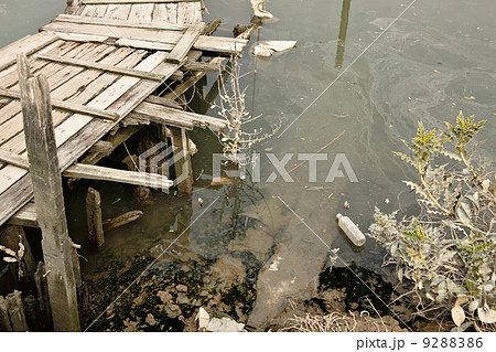 water pollution in river 9288386