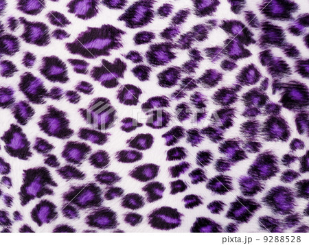 Leopard Printed in purple 9288528