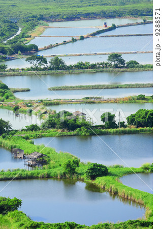 Fish hatchery pond Fish hatchery pond 9288571