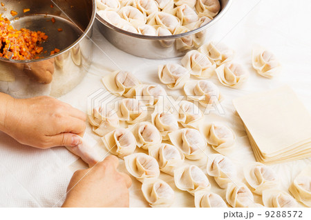 Homemade dumpling Homemade dumpling 9288572