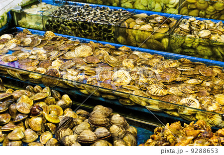 Seafood market Seafood market 9288653