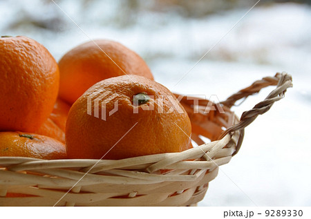 冬みかん 9289330