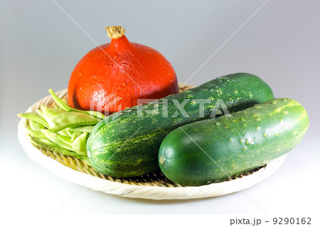 キュウリと加賀野菜 9290162
