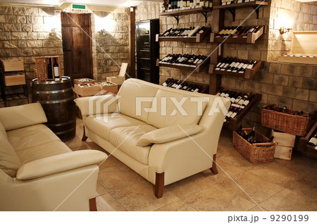 Bottles with old wine 9290199