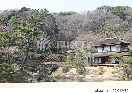 梅の名所　横浜三溪園５ 9291950