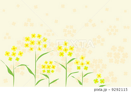 菜の花 菜の花 9292115