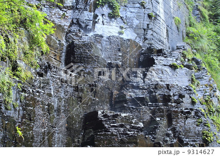 八草の滝 9314627