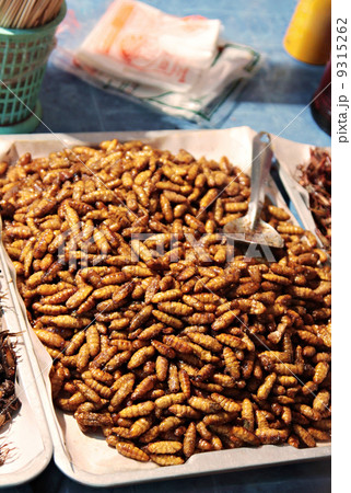 Fried larvas Fried larvas 9315262