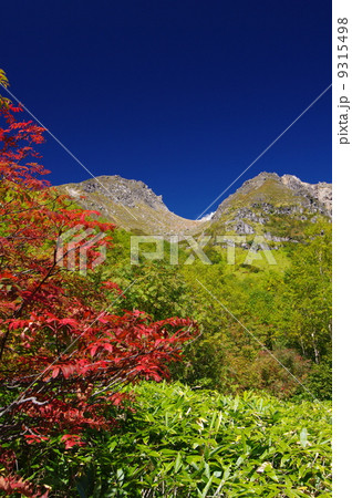 焼岳と紅葉 焼岳と紅葉 9315498