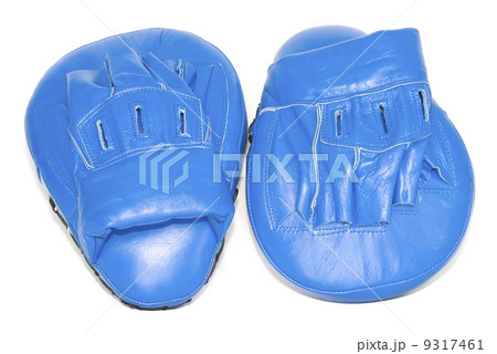 Boxing Focus Mitts 9317461