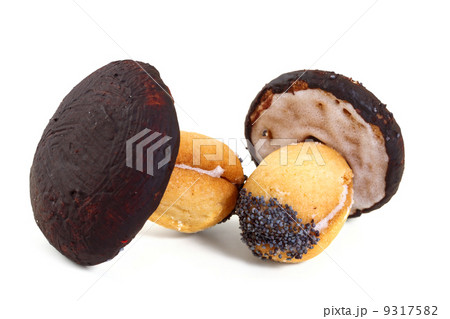 Cookies in the form of mushrooms. Isolated on a white Cookies in the form of mushrooms. Isolated on a white 9317582
