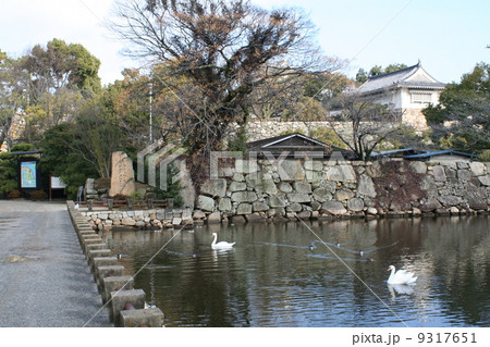 岡山城のお堀 9317651