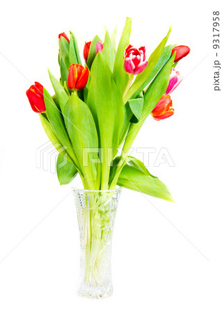 Tulips bouquet isolated on white Tulips bouquet isolated on white 9317958