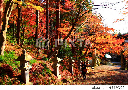 紅葉に包まれた神社の参道を歩く女性 9319302