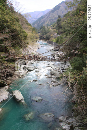 徳島県三好市、「祖谷のかずら橋」 9319984