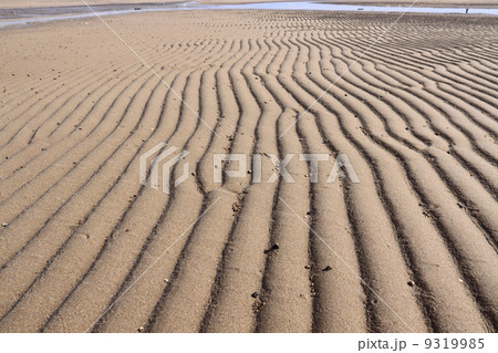 遠浅の砂浜、(瀬戸内海国立公園、観音寺市有明浜) 遠浅の砂浜、(瀬戸内海国立公園、観音寺市有明浜) 9319985