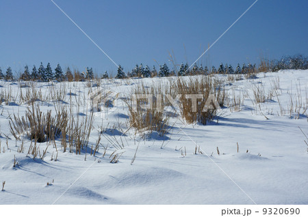 雪原と青空 9320690