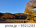 早朝の嵐山 9321283