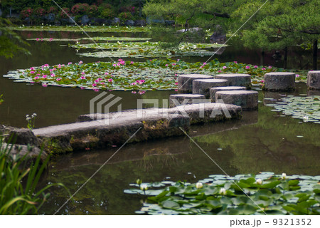 平安神宮　蒼龍池と臥龍橋 9321352