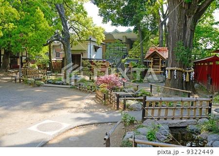 埼玉県　秩父神社 9322449