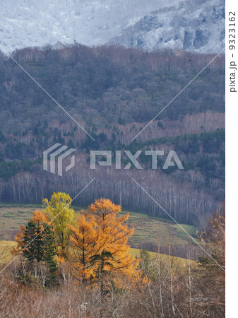 紅葉と雪の降る山 9323162