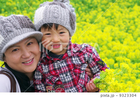 親子とアブラナ(油菜) 親子とアブラナ(油菜) 9323304