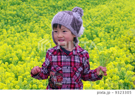 アブラナ(油菜)と子供 アブラナ(油菜)と子供 9323305