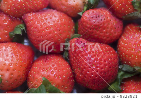 basket full of strawberries basket full of strawberries 9323921