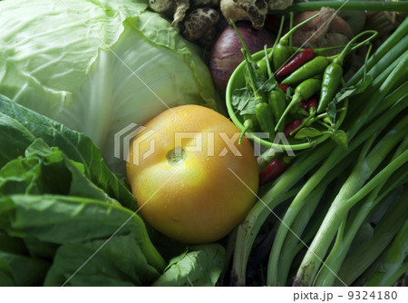 various tropical vegetables 9324180