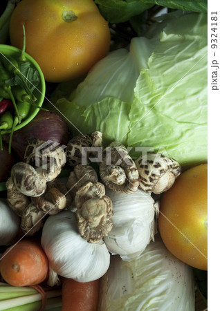 close up shot of vegetables close up shot of vegetables 9324181