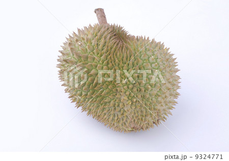 tropical fruit durian with white background tropical fruit durian with white background 9324771