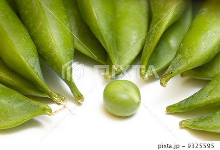 Single pea and pods 9325595