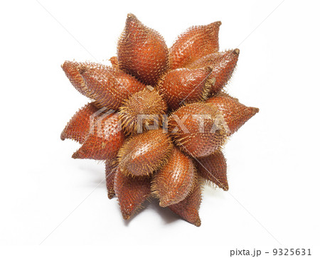 Salacca fruit Salacca fruit 9325631
