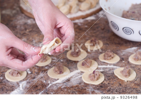 preparation of meat preparation of meat 9326498