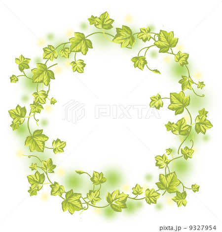 アイビーフレーム 9327954