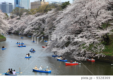 千鳥ヶ淵の桜 千鳥ヶ淵の桜 9328369