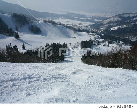 野沢温泉スキー場の名物シュナイダーコースの写真素材