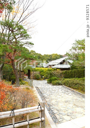 秋の白鳥庭園 秋の白鳥庭園 9328571