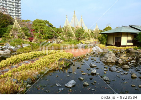 秋の白鳥庭園 清羽亭 秋の白鳥庭園 清羽亭 9328584